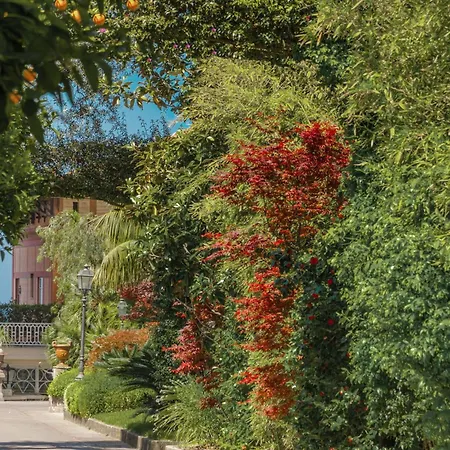 غراند اكسلسيور فيتوريا