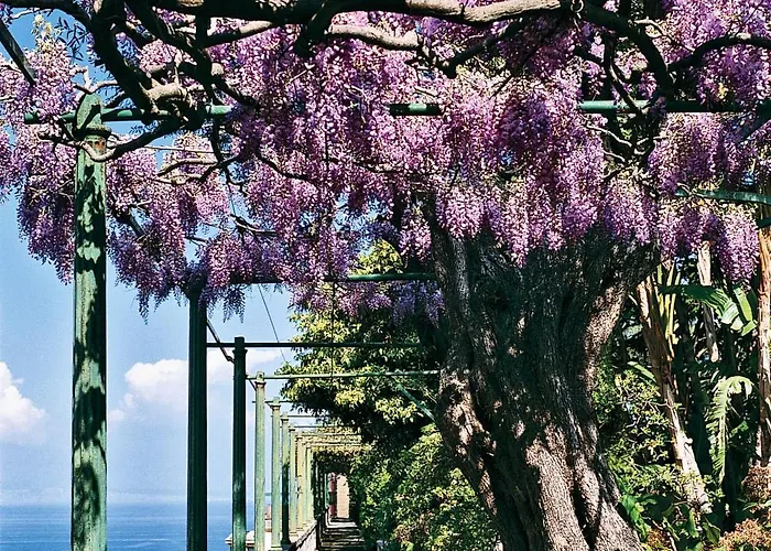 Grand Excelsior Vittoria Hotell Sorrento